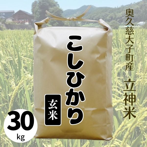 特別栽培米》R7年産 こしひかり 【玄米30kg袋】 – 谷田部農産