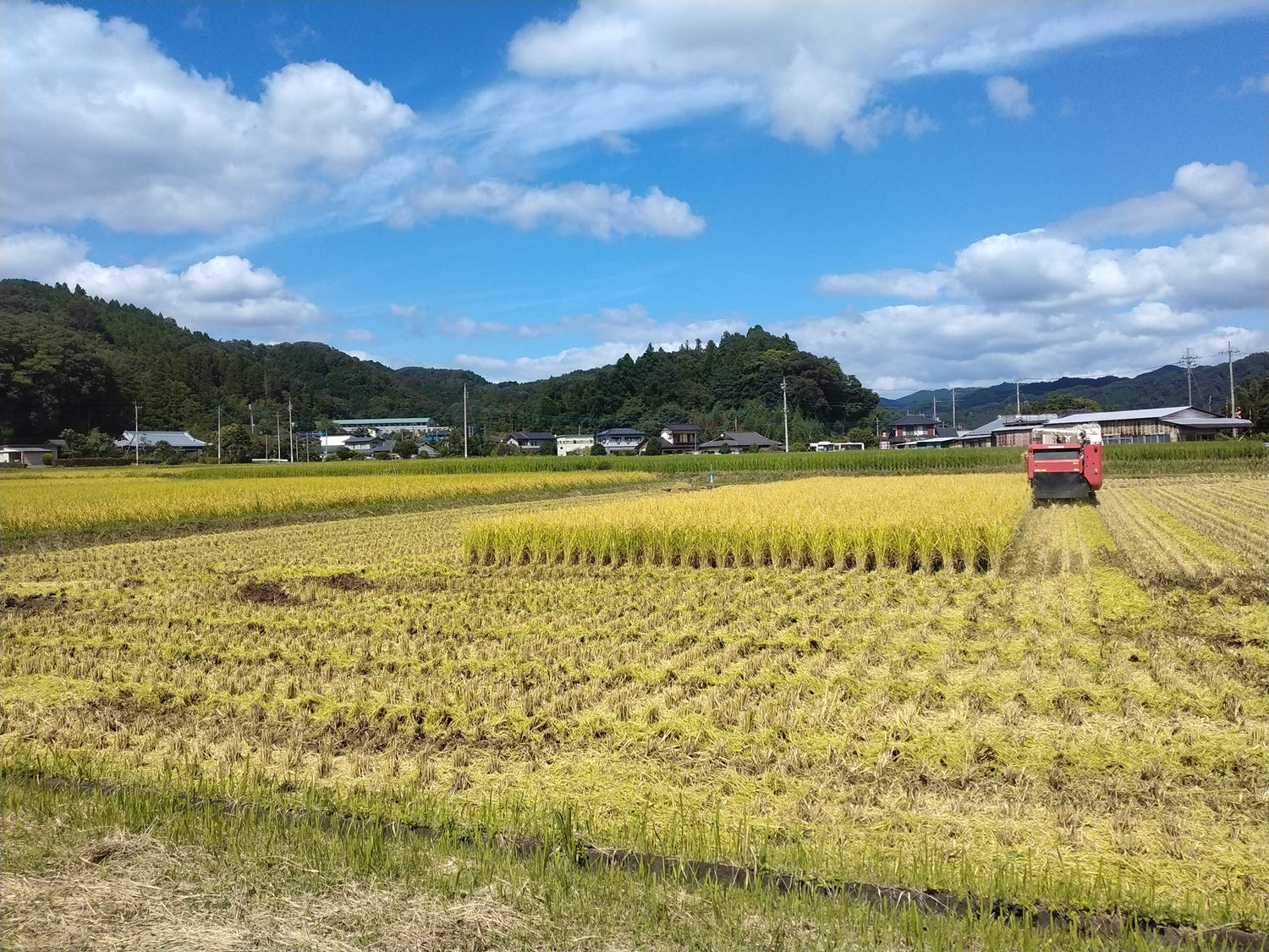 にじのきらめき