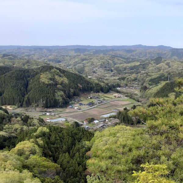 特別栽培米》R7年産 姫ごのみ – 谷田部農産