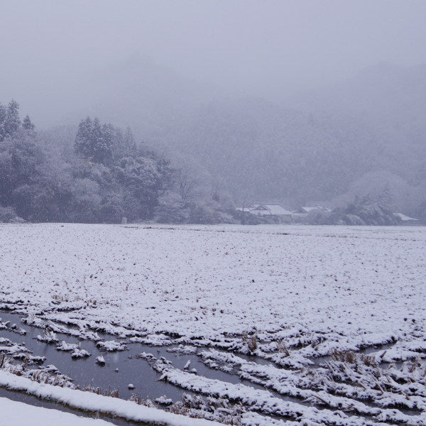 R7年産 にじのきらめき 【玄米30kg袋】