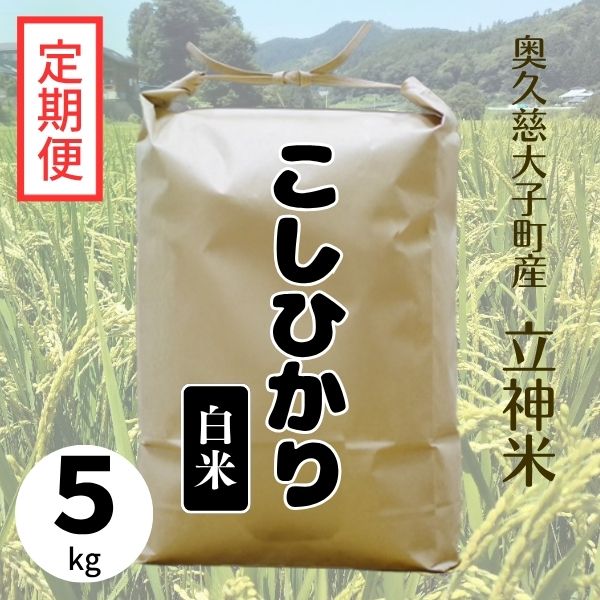 《特別栽培米》R7年産 こしひかり【定期便】
