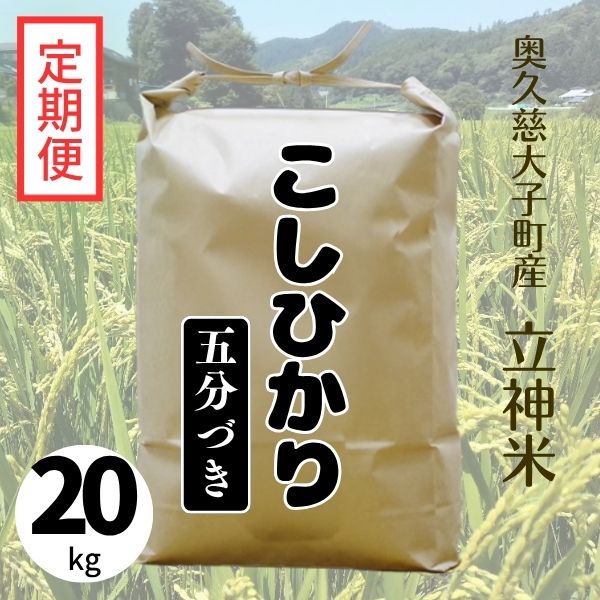 《特別栽培米》R7年産 こしひかり【定期便】