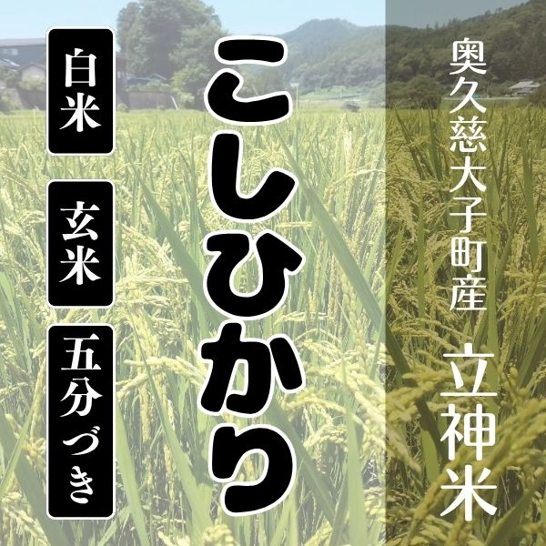 《特別栽培米》R7年産 こしひかり
