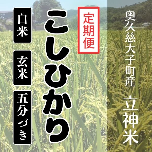 《特別栽培米》R7年産 こしひかり【定期便】