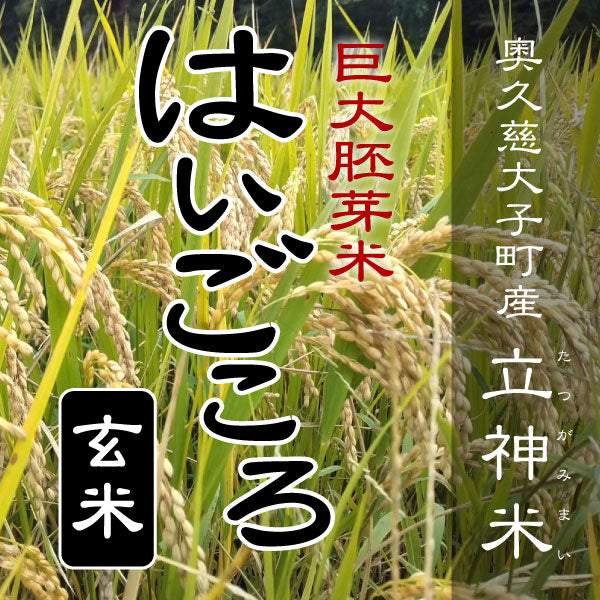 はいごころ-玄米