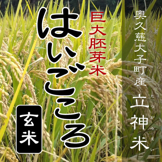 はいごころ-玄米
