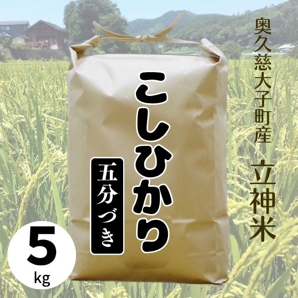 《特別栽培米》R7年産 こしひかり